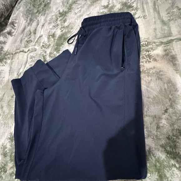 Athleta Blue Cropped Ankle Pants Slim Fit - Picture 5 of 16